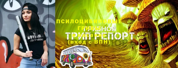 гашик Армянск