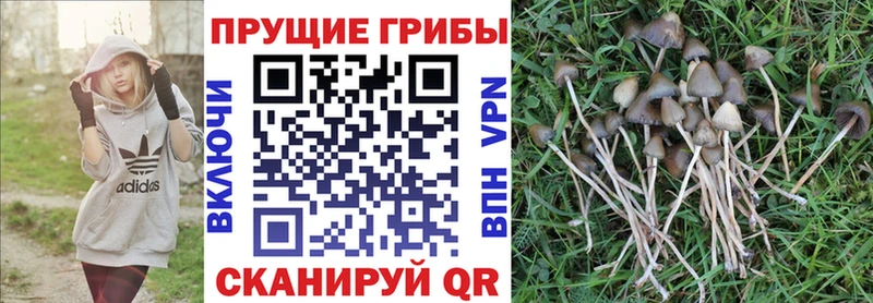 Галлюциногенные грибы мухоморы  купить наркоту  Осинники 